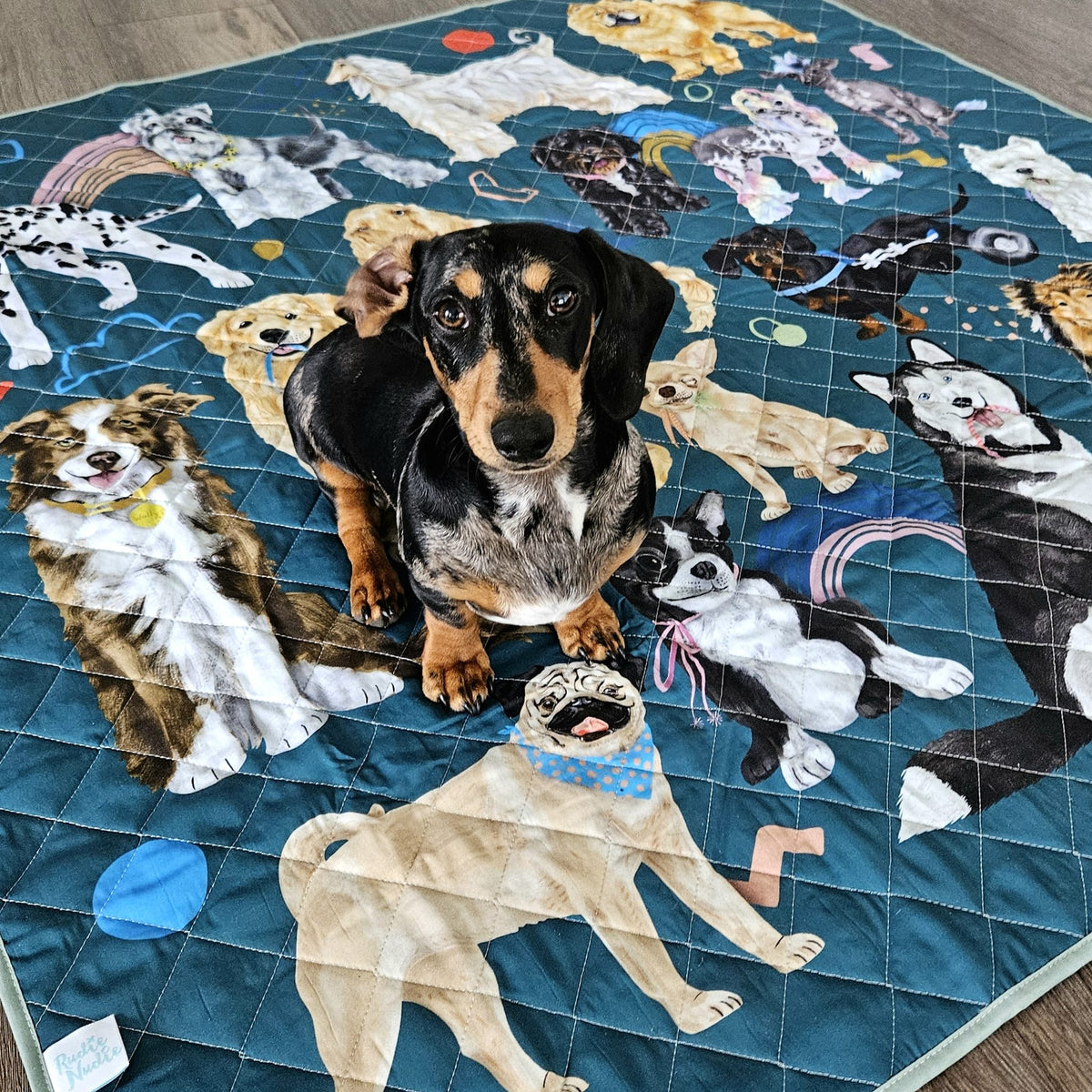 dachshund sitting on the pooch party large waterproof mat