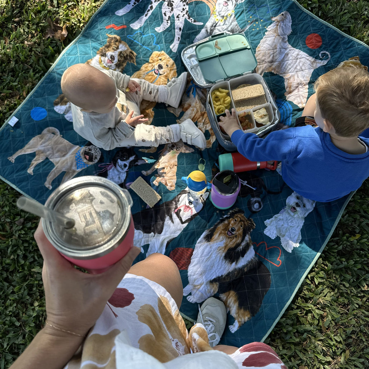 overhead view of children eating lunch on the pooch party large waterproof mat on the grass