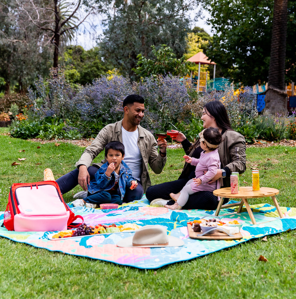 Flamingo-A-Go-Go-Picnic-Blanket-for-picnic-in-the-park