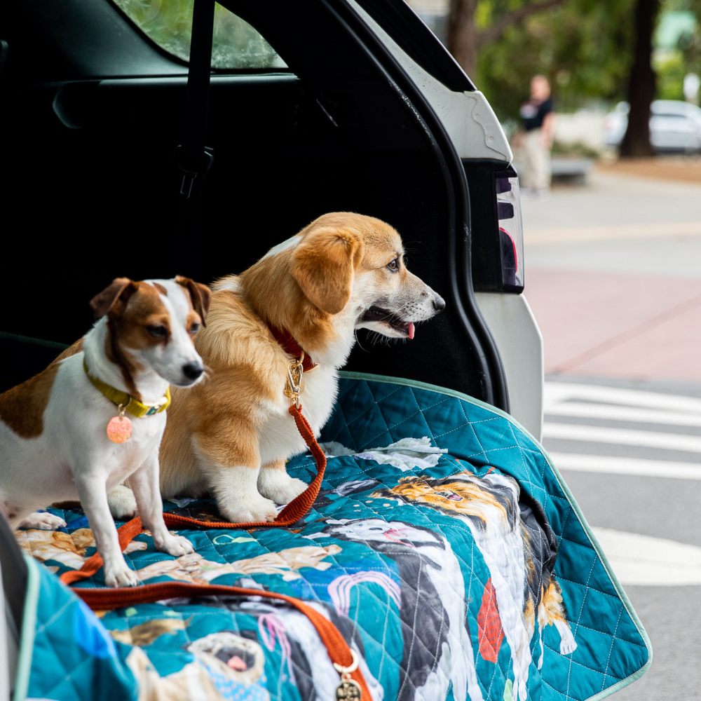 two dogs in back of car on a nudie rudie dog mat