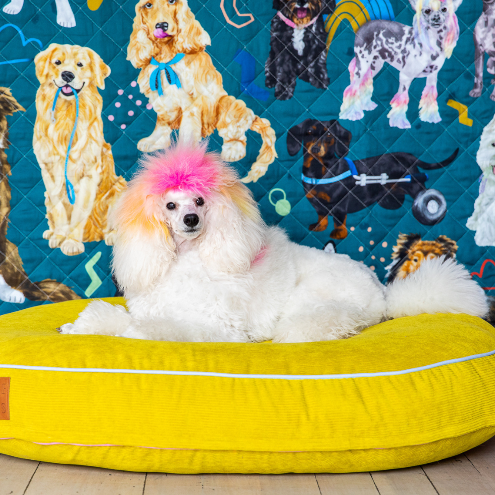 dog on a dog bed with rudie nudie dog mat