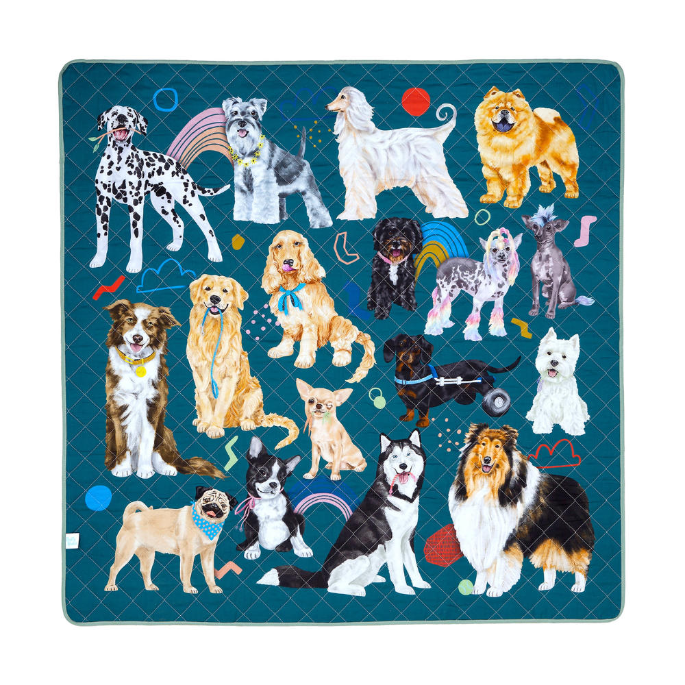 pooch party dog blanket for car green blue large blanket