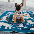 french bulldog sitting on the pooch party large waterproof mat on a jetty